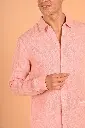 Image11580.webp