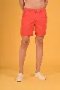 Image12499-.webp