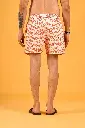 Image13501-.webp
