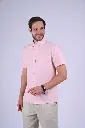 Happy Bay 516377.webp