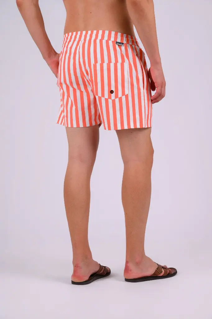 happy bay 315969.webp