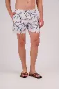 happy bay 316057.webp