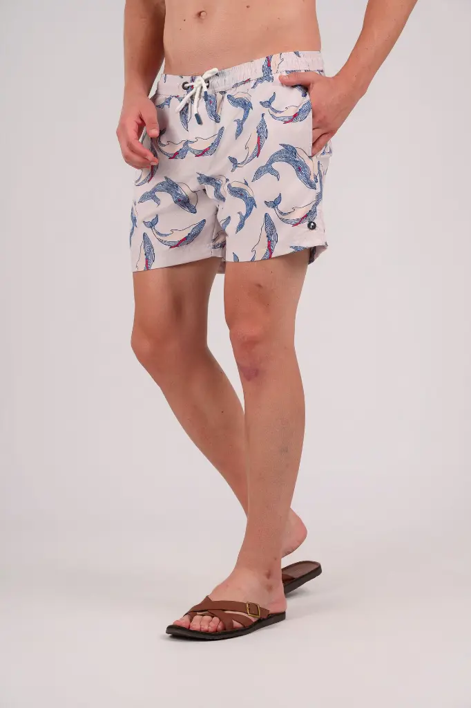 happy bay 316062.webp