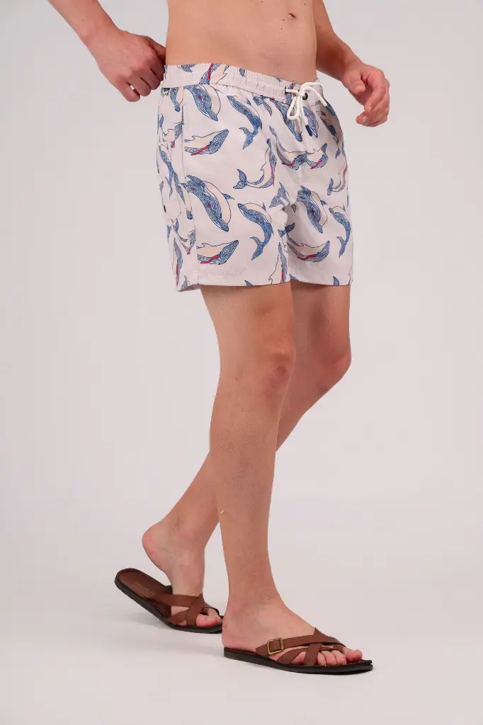 happy bay 316067.webp