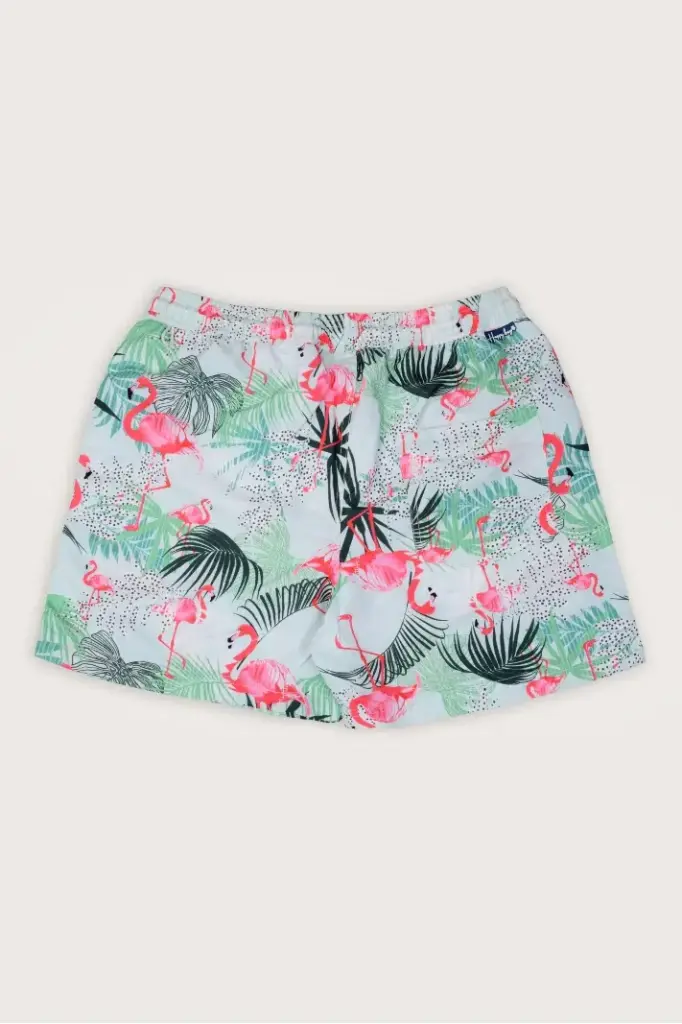 Hello there Flamingo Swim Shorts