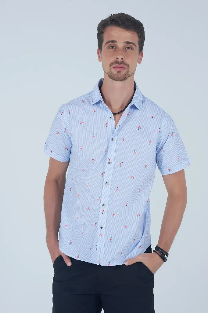 I Don't Give A Flock Shirt