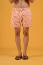 The Daily Catch Orange Fish-Print Swim Shorts