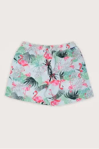 Hello there Flamingo Swim Shorts